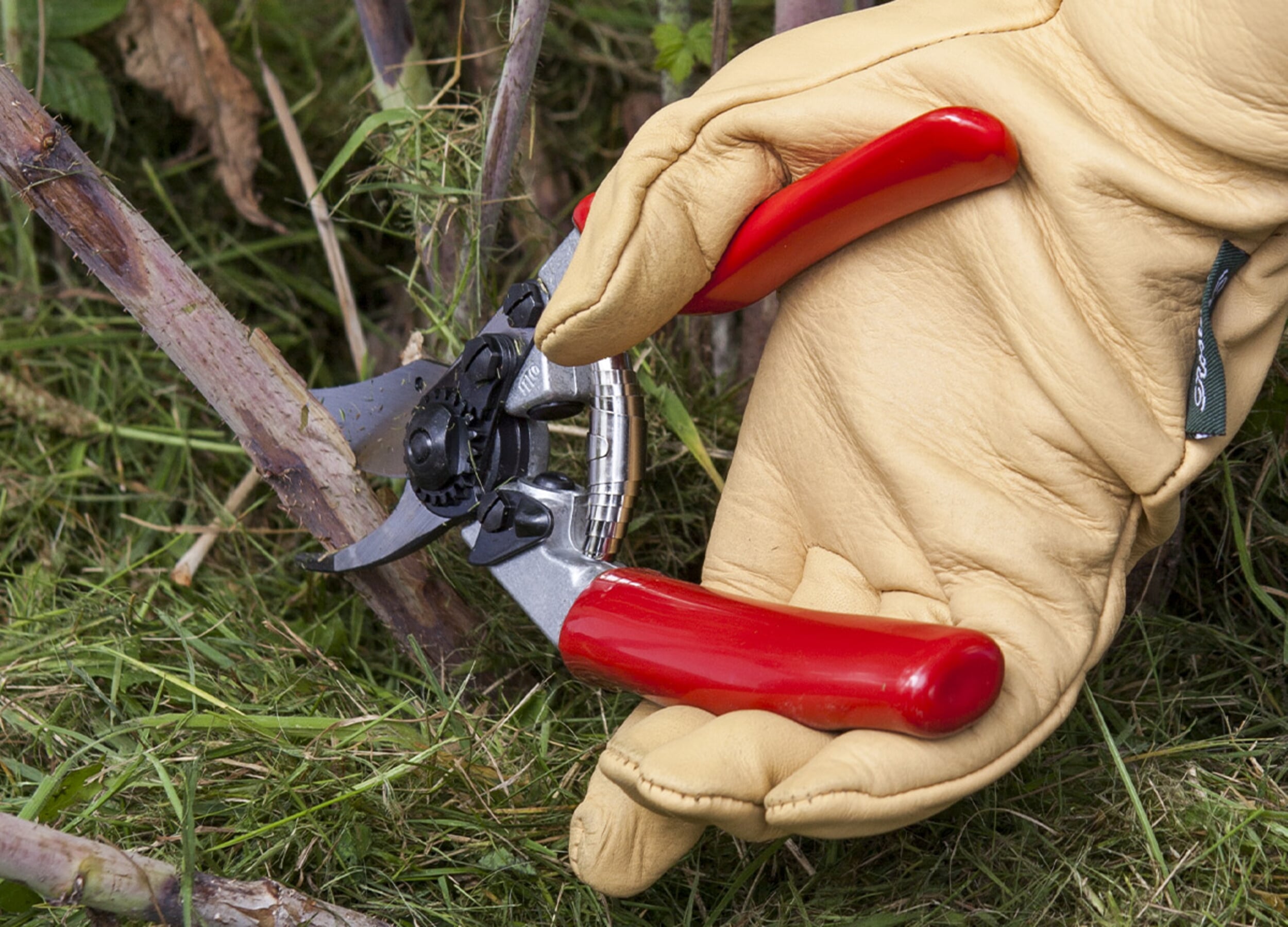 Scissors science. Garden shears for every purpose Manufactum