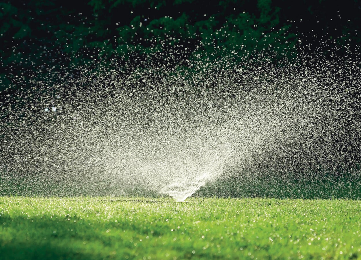 Gazononderhoud in de zomer