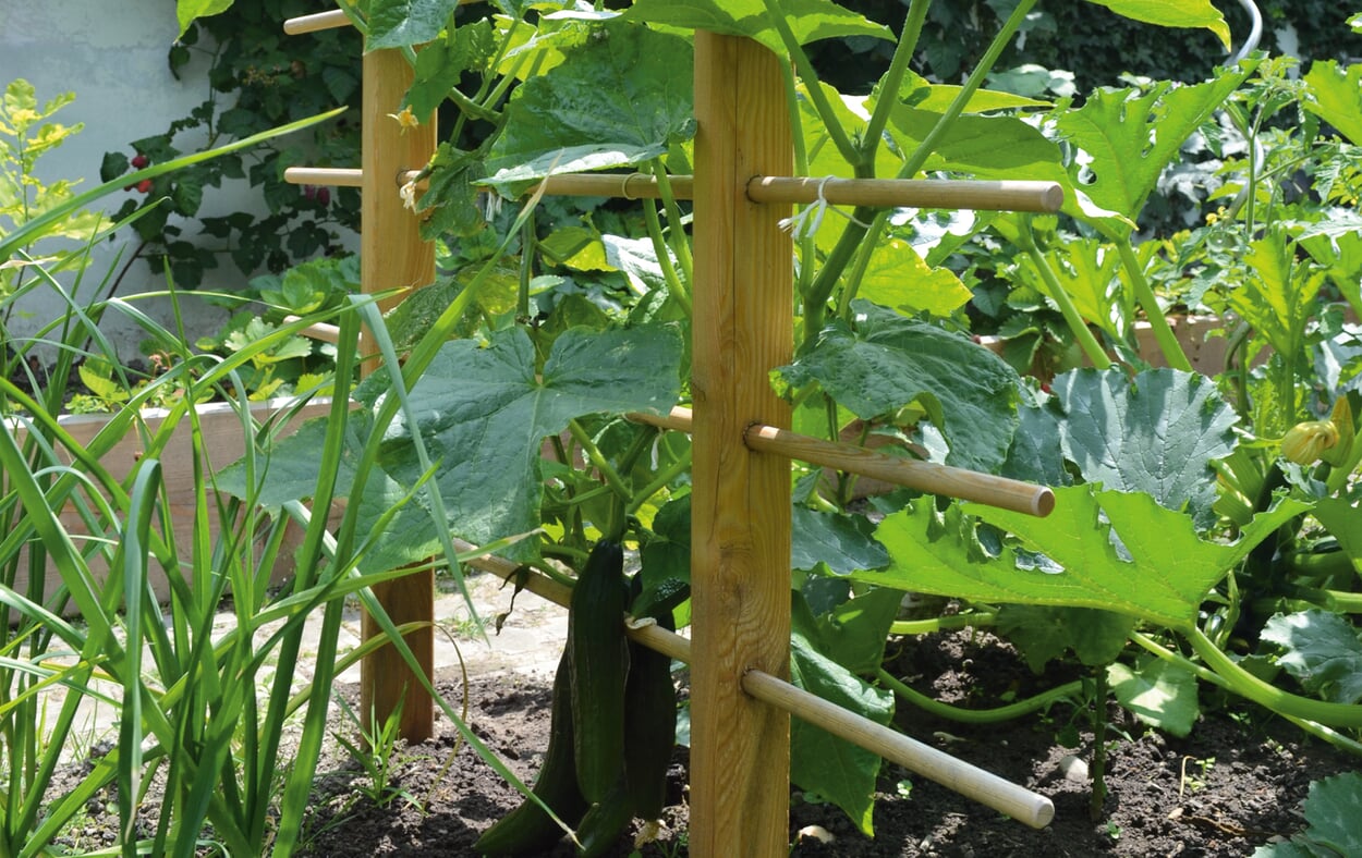 Trellises & Plant Supports