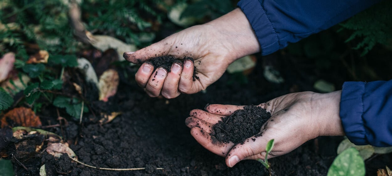 Finger sample soil