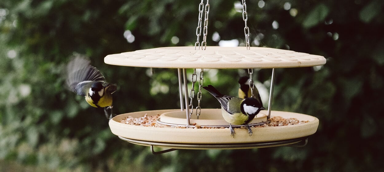 Feeding house ceramic for birds