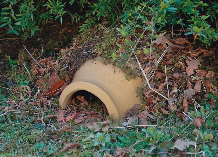 Ceramic Hedgehog House with Leaves