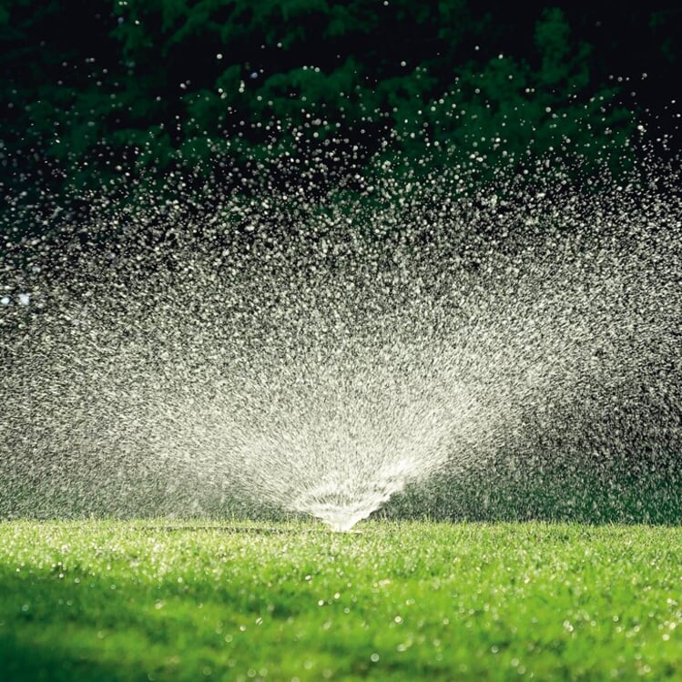 Garten richtig wässern bei Trockenheit Manufactum Gartenjahr
