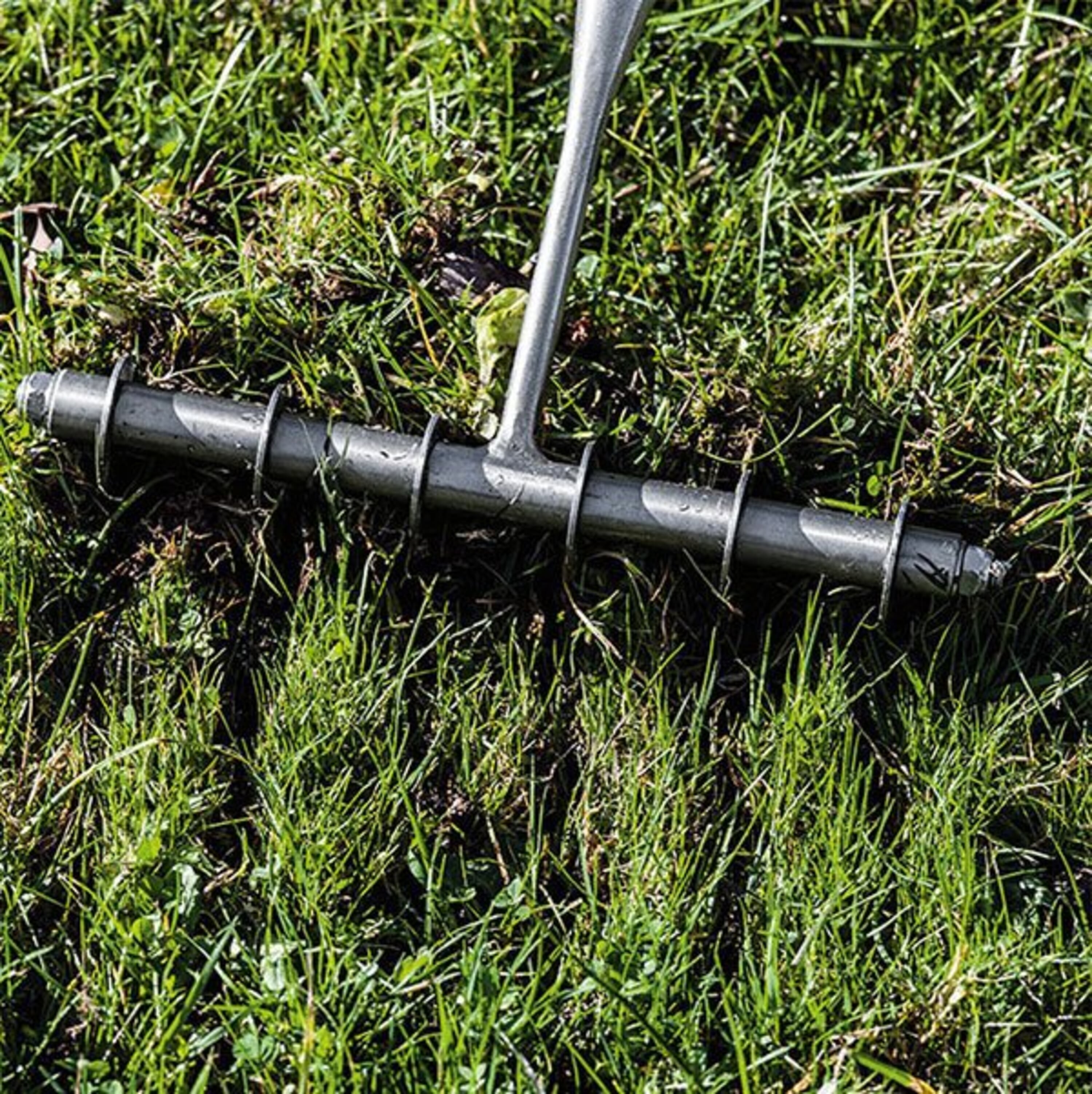 Rasenpflege nach dem Winter | Manufactum Gartenjahr