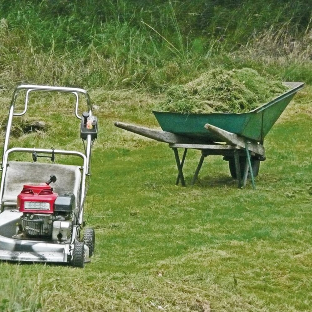 Letzter Schnitt des Rasens: Anleitung | Manufactum Gartenjahr