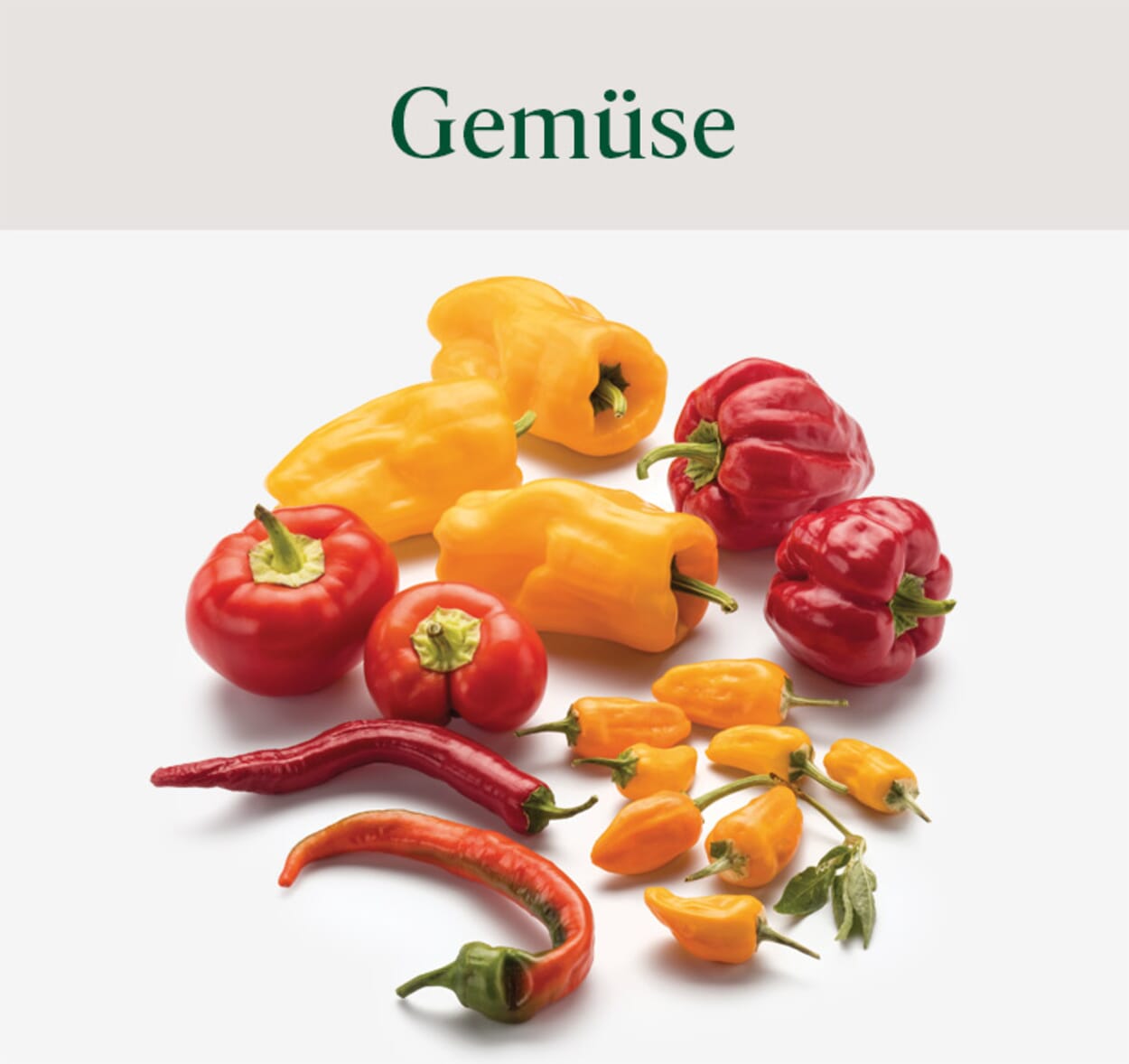 Gemüsesämereien & Gemüsepflanzen