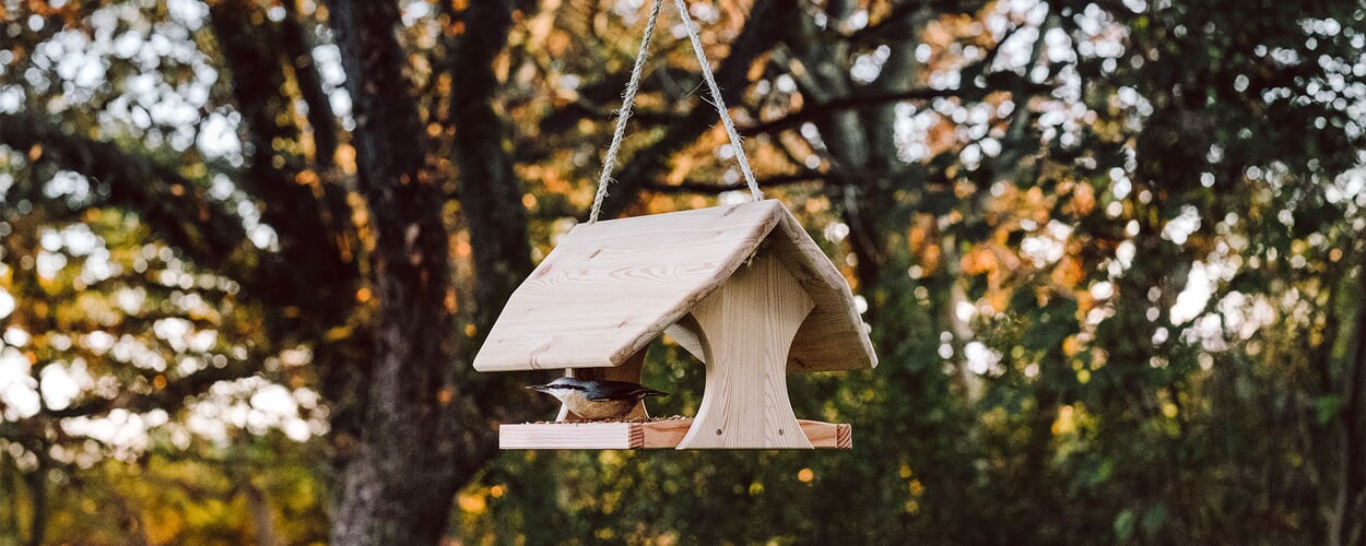 Vogels voeren