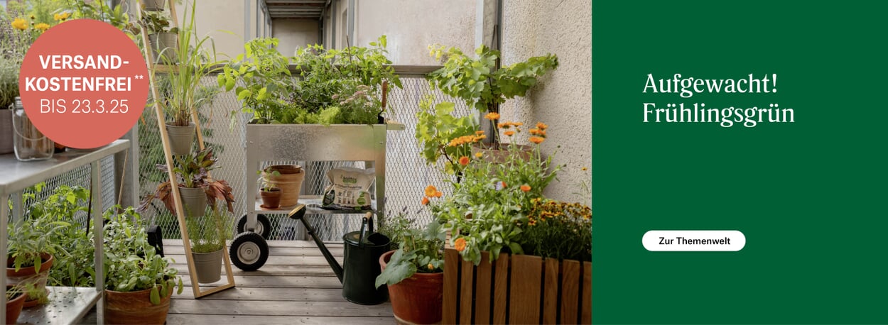 Balkon begrünen
