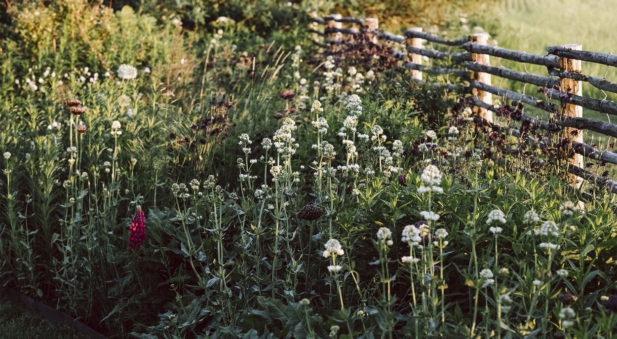 Naturbewusst gärtnern