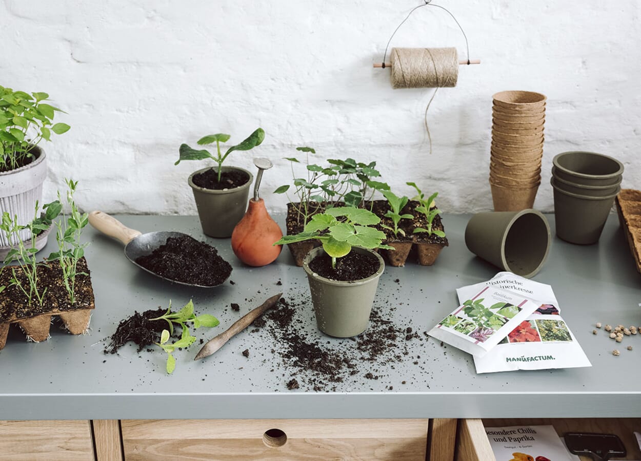 Einzigartige Pflanzenvielfalt