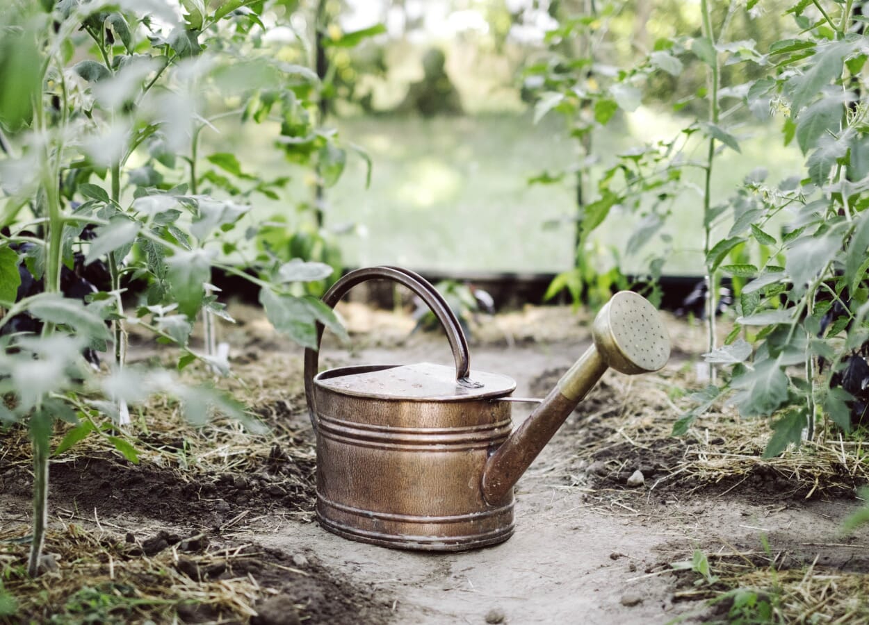 Gute Gartenbewässerung