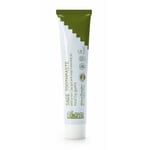 Green Clay Toothpaste Sage