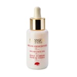 Argan Skin Care Oil Rose