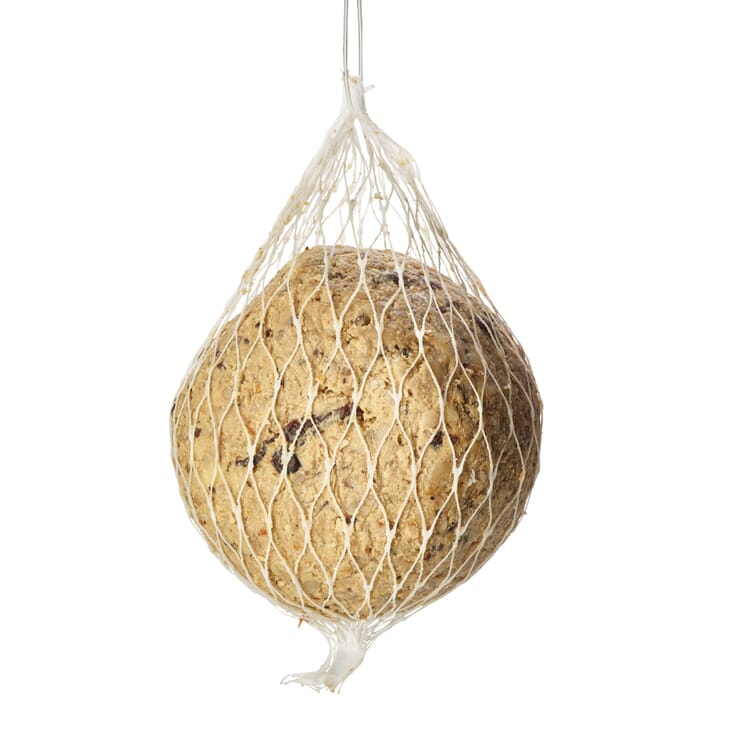 Vogelknoedels met insecten, 4 stuk