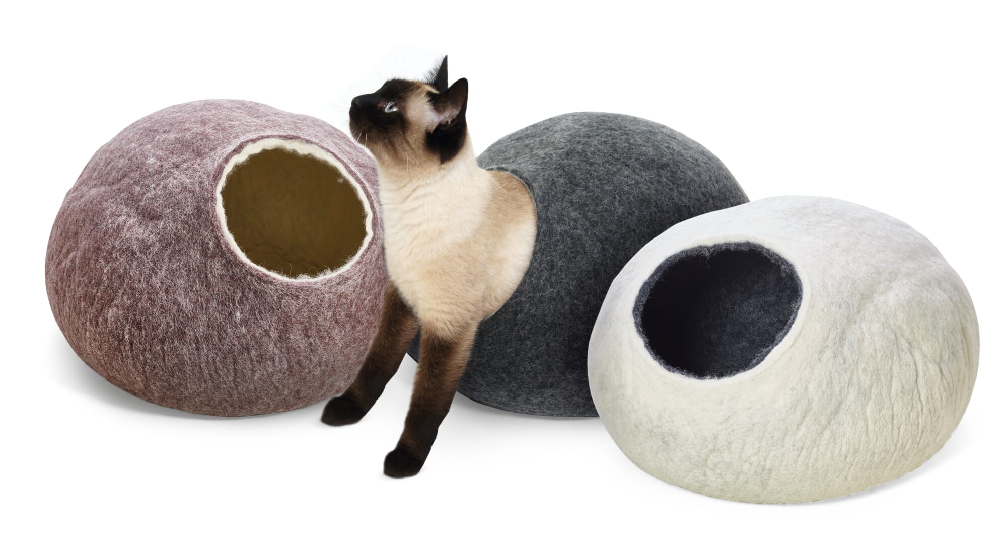 stuft dog bed