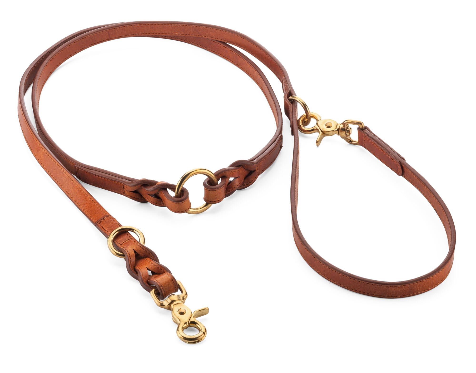 braided dog leash