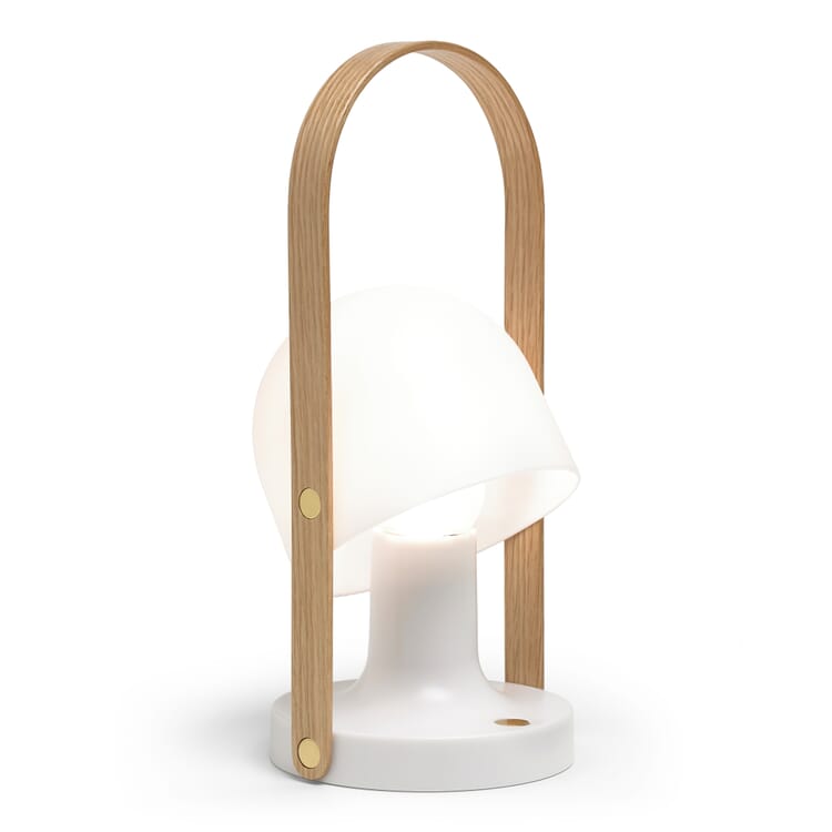 Universele lamp Follow Me