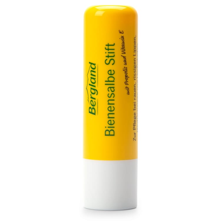 Bi-salvestift