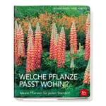 Quelle plante pour quel endroit ?