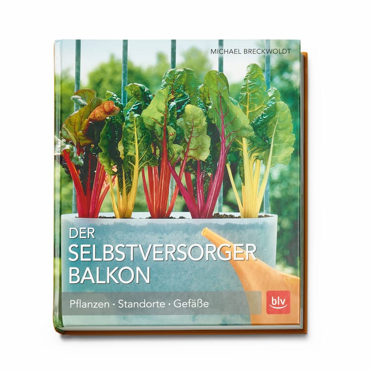 Le balcon en libre-service