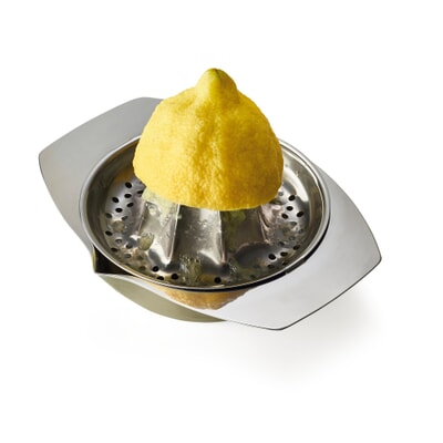 Zitruspresse Edelstahl