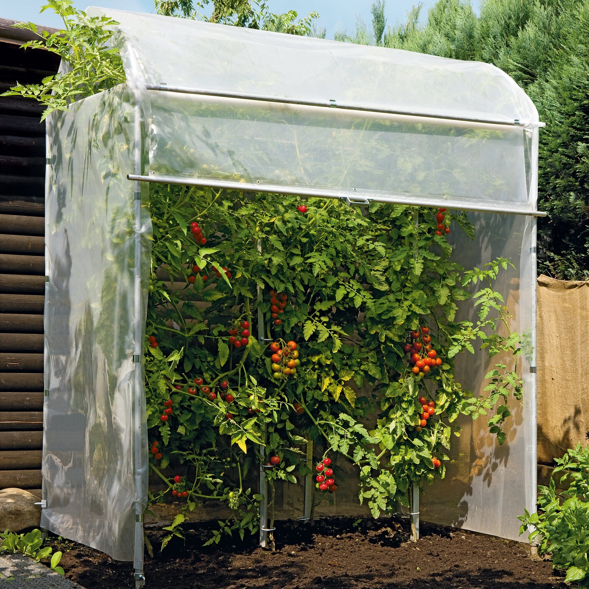 Tomaten-Gewächshaus zum Schutz vor Kälte und Nässe aus Stahl 101x51x148cm