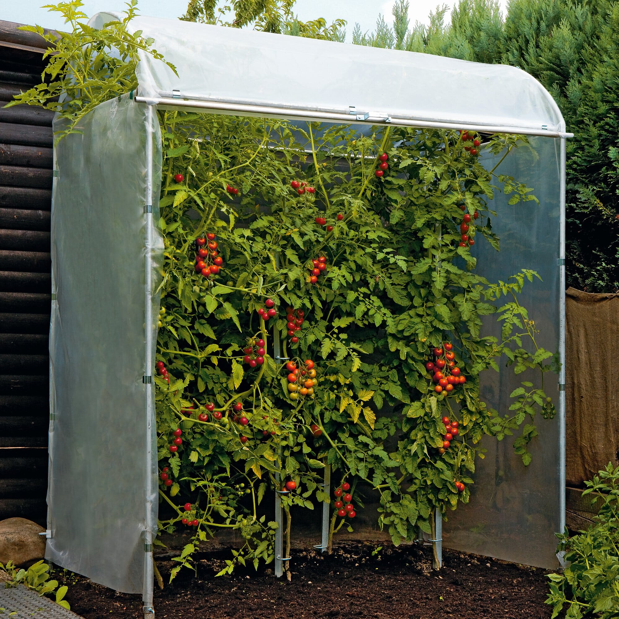 Tomaten-Gewächshaus zum Schutz vor Kälte und Nässe aus Stahl 101x51x148cm