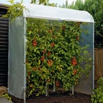 Maison pour tomates Cadre en acier