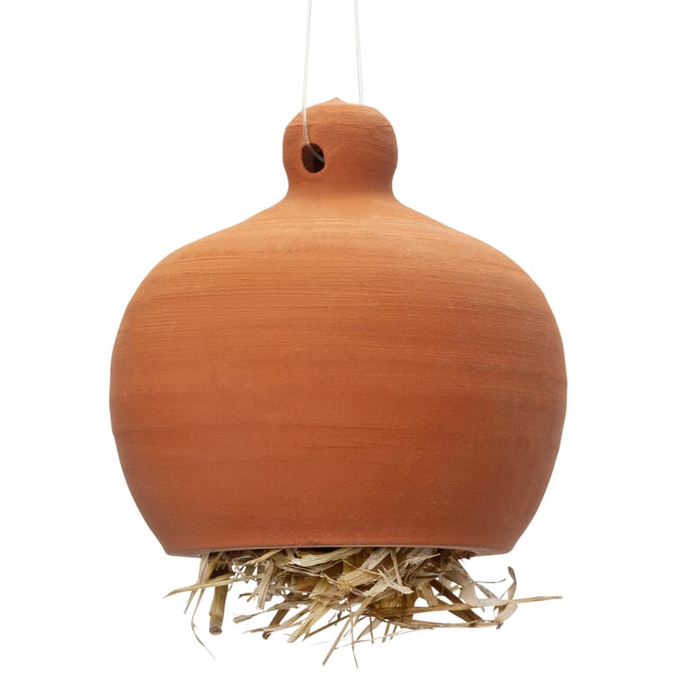 Øresneglepotte i terrakotta