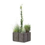 Planter Bacsac - container square