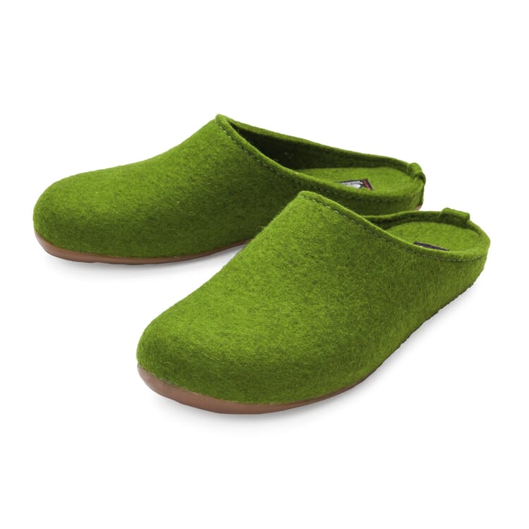 Pantofole in feltro, Verde