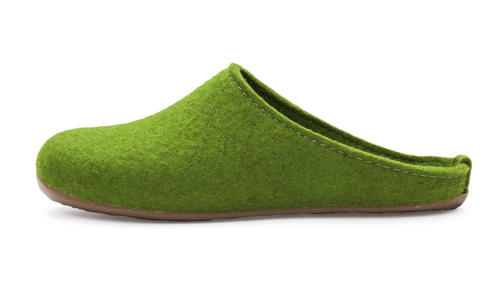 Vilten pantoffels Groen