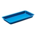 Tray “Alumoule” 20 × 10 Blue