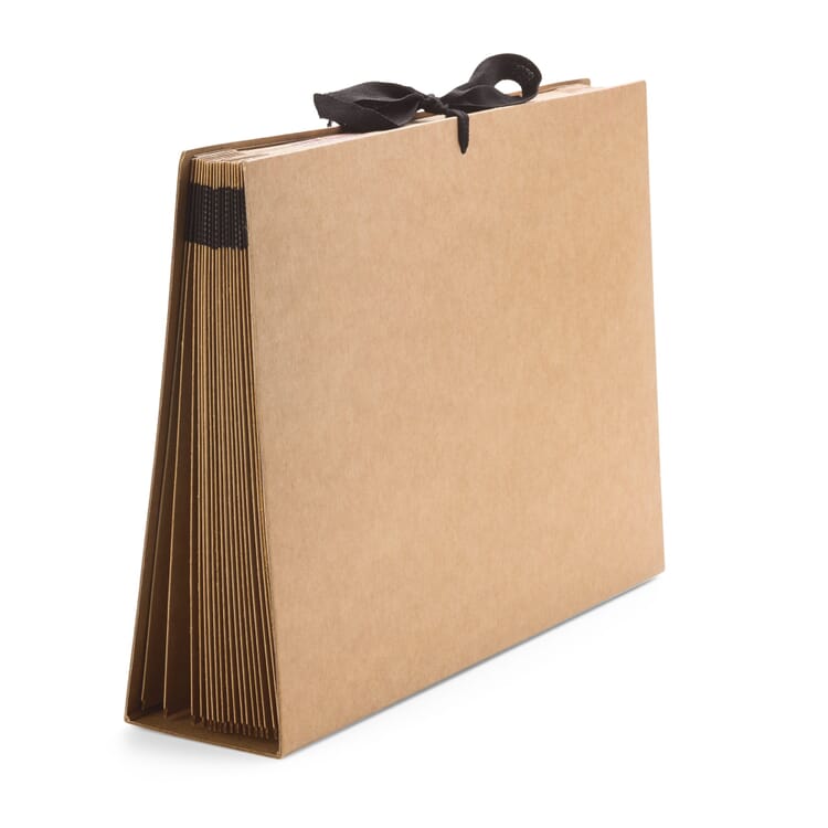 Desk folder cardboard A4