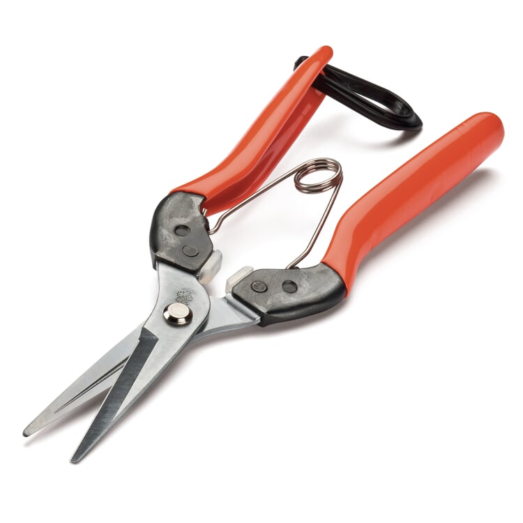 Japanese flower and household scissors