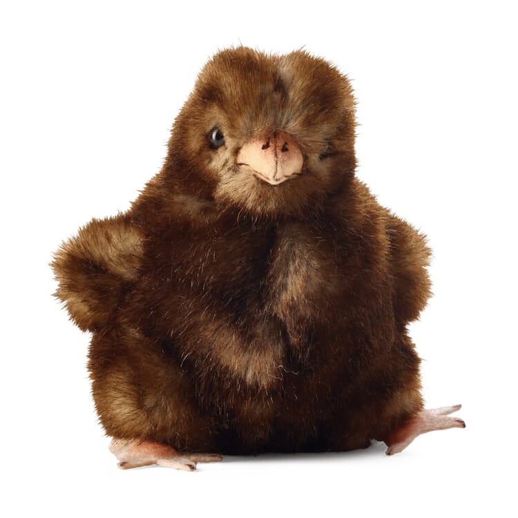 Poussin de Kösener petit, Marron