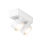 Downlight in a Box Wittenberg RAL 9016 Traffic white