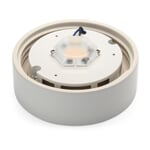 Wall and ceiling lamp cylinder LED Four White / Matte