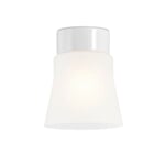 Ceiling Lamp Cylindric Form Open Opal Glass