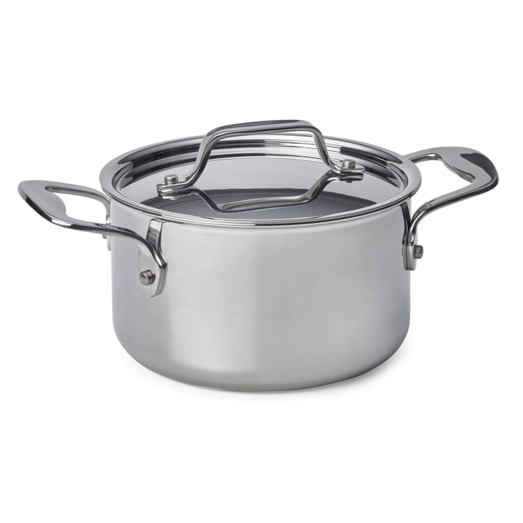 Cooking Pot Made of Stainless Steel, Volume 1.9 l