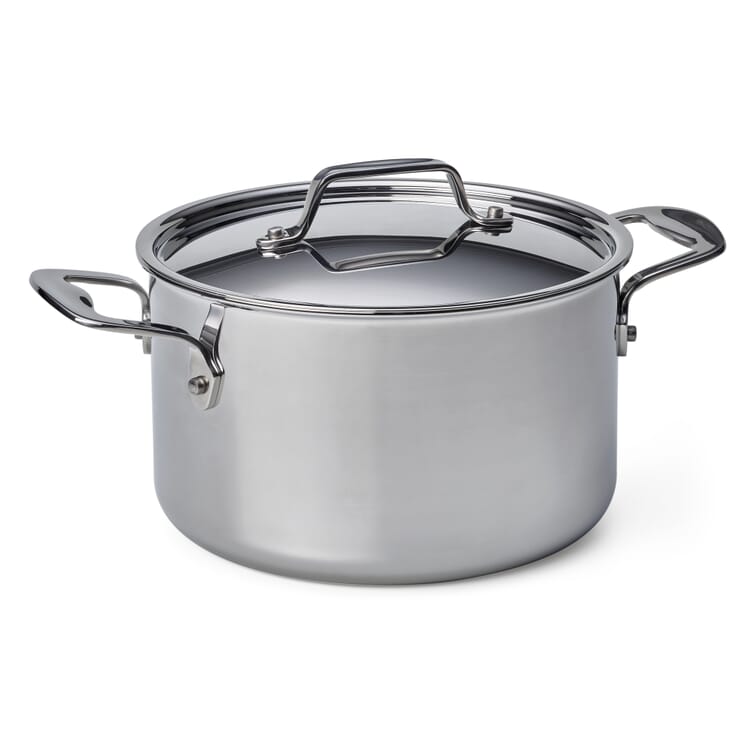 Cooking Pot Made of Stainless Steel, Volume 3.8 l