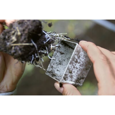 A-1PC 1//2//3//4 St/ück Anzuchtplatte mit 72 Pflanzl/öchern /& Untersetzer S/ämlingsschale TM Muium Pflanzschale Anzuchtschale Topfplatte Setzlingen Propagation Germination Plugs zum Anpflanzen