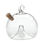Fruit Fly Trap Made of Glass For hanging up