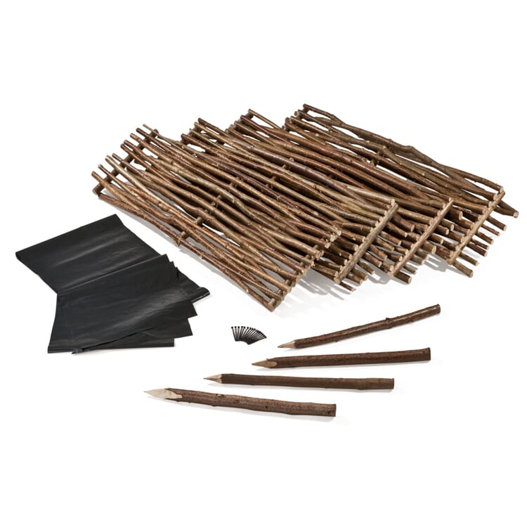 Bordure de parterre de noisetier