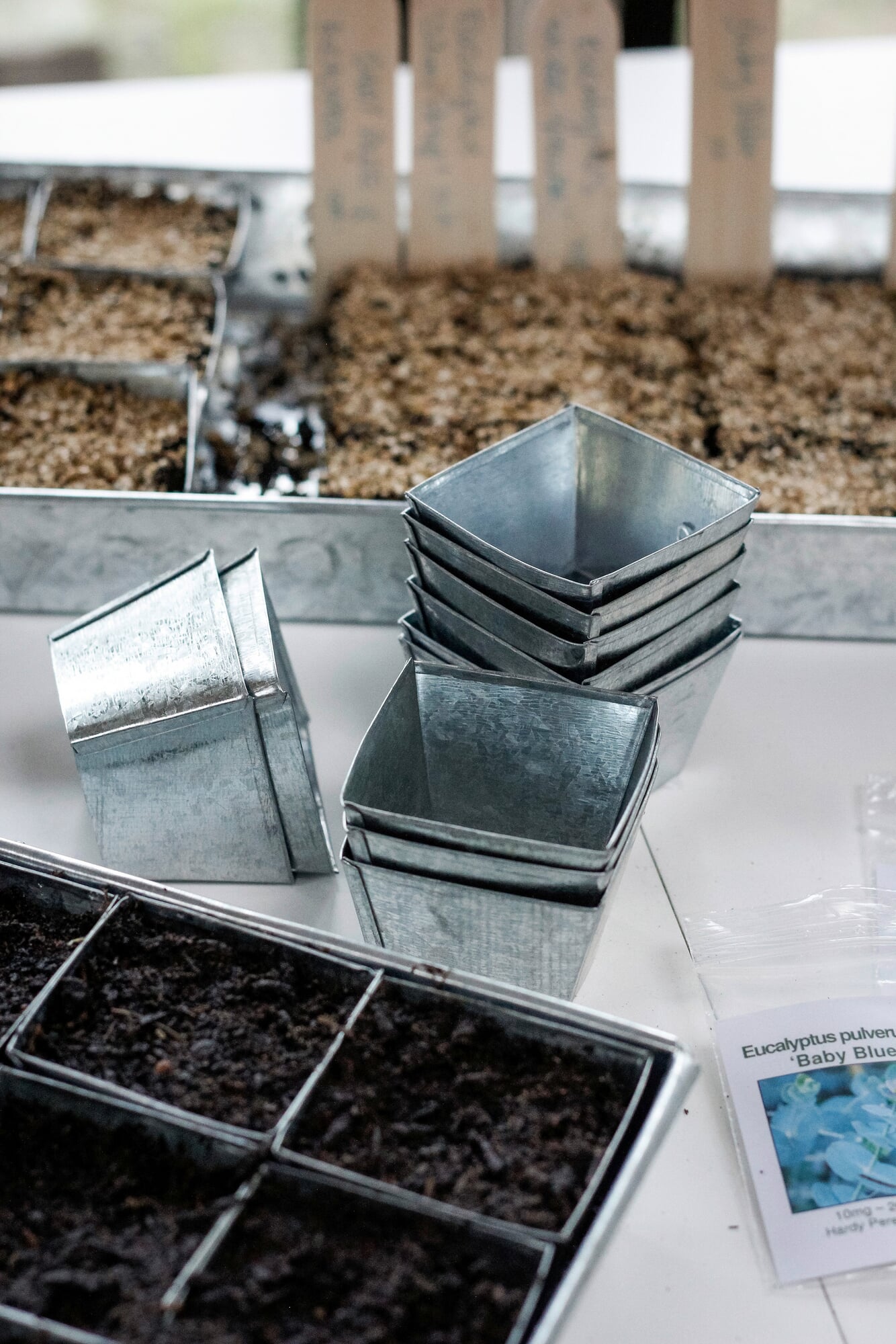 Cultivation plate with individual pots, Narrow | Manufactum