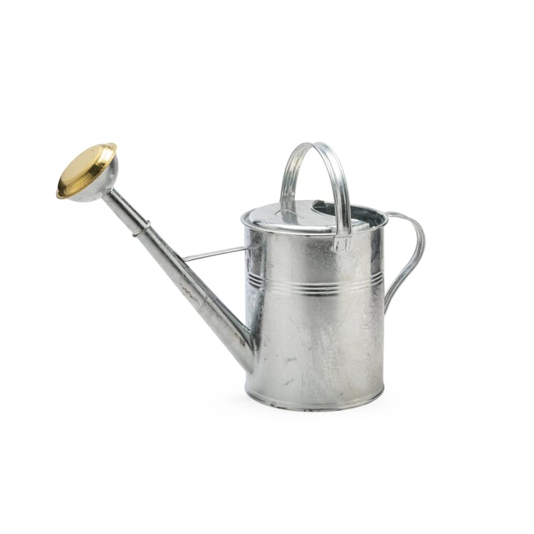 Watering can galvanized, Round, 9 l