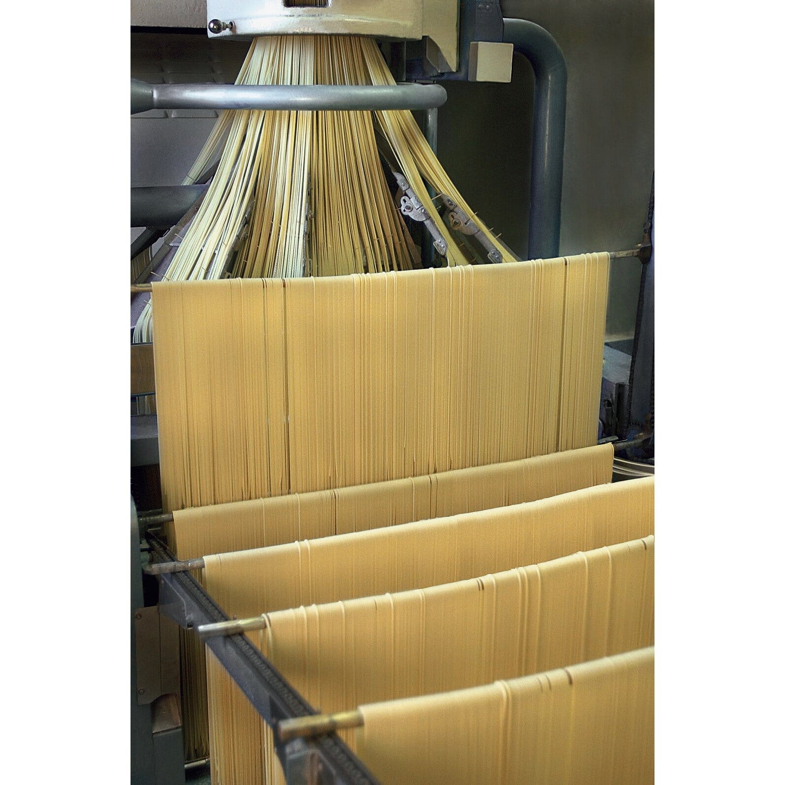 Cavalieri Spaghettoni | Manufactum