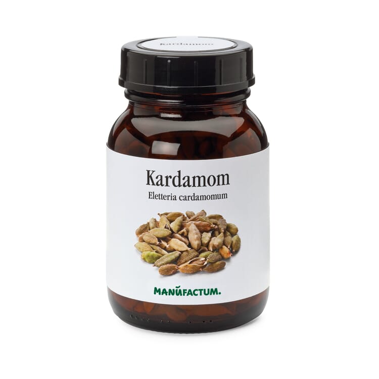 Cardamomo