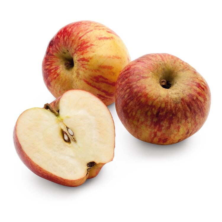 Apfel für Allergiker