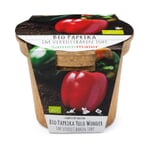 Bio-Aussaatset Gemüsesamen Paprika Yolo Wonder